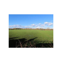 Foragefield | Swards with Types and Names