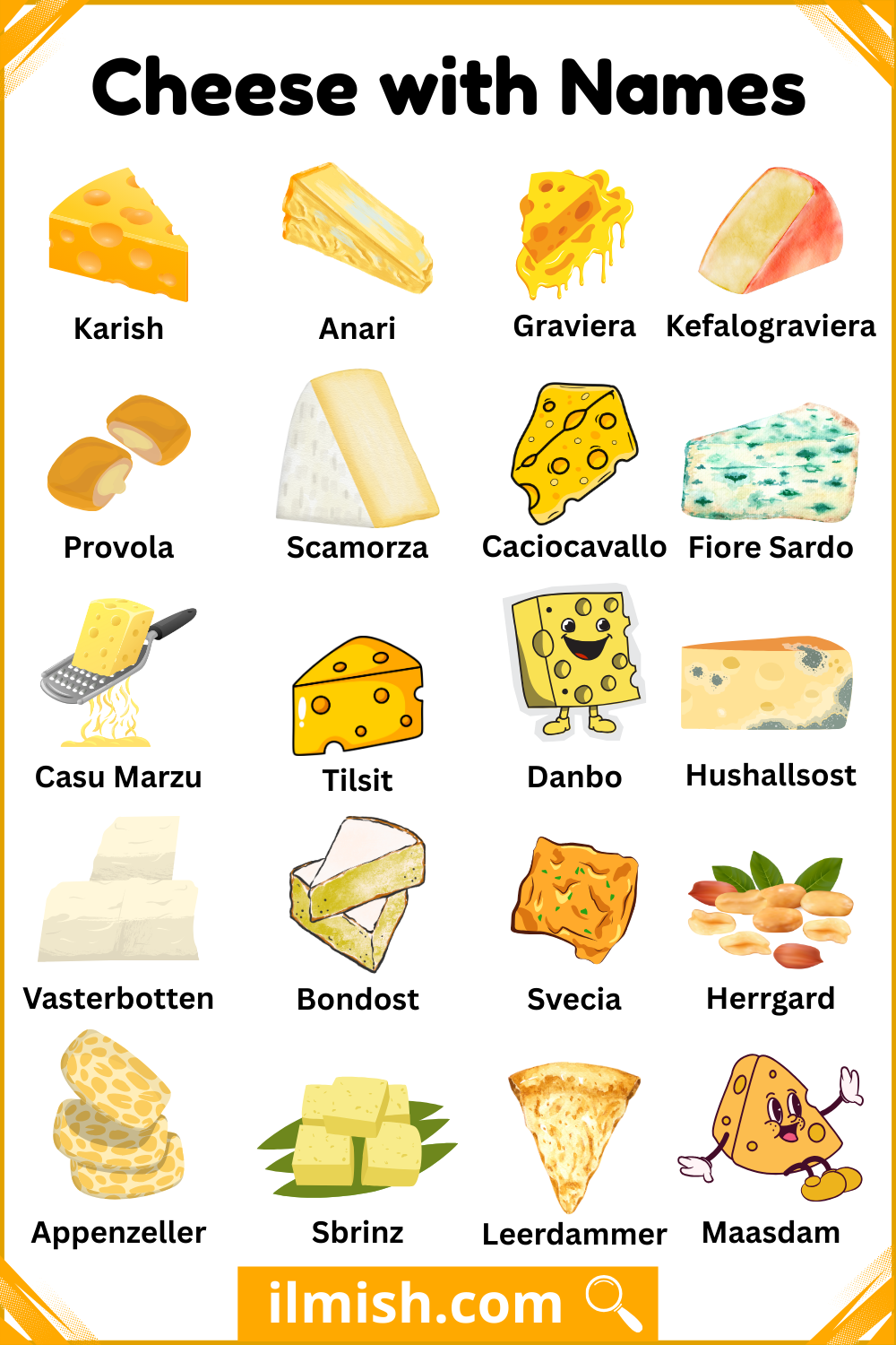 Fresh and Aged Cheese with Names and Types with Pictures