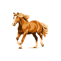 Garrano | Horses with Names and Types