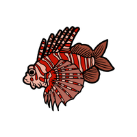 Gill | Fish with Names and Types