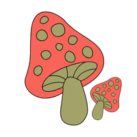 Gill | Mushrooms with Names and Types