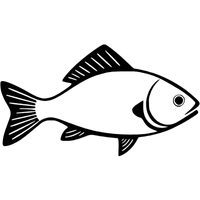 Goby | Fish with Names and Types