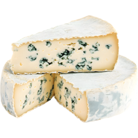 Gorgonzola | Cheese with Names and Types