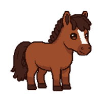 Gotland Pony | Horses with Names and Types