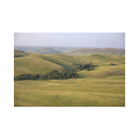 Grassland | Swards with Types and Names