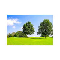 Greenfield | Swards with Types and Names