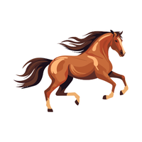 Groningen | Horses with Names and Types