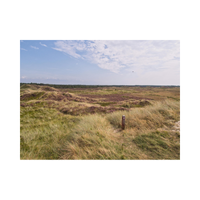 Heath | Swards with Types and Names