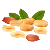 Herrgard | Cheese with Names and Types