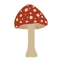 Hyphae | Mushrooms with Names and Types