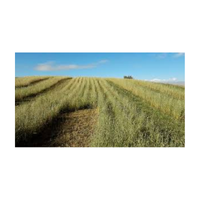 Improvedpasture | Swards with Types and Names