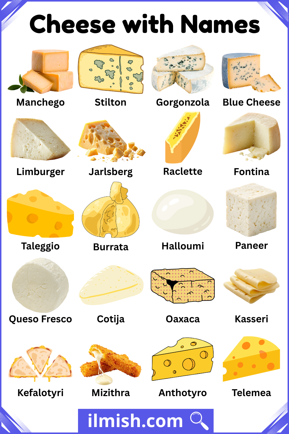 International Cheese with Names and Types with Pictures