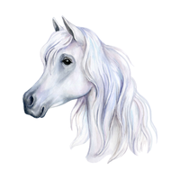 Java | Horses with Names and Types