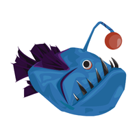 Jaw | Fish with Names and Types