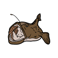 Kelp | Fish with Names and Types