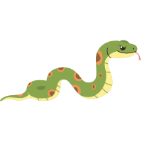 Krait | Snakes with Names and Types