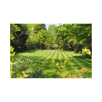 Lawn | Swards with Types and Names