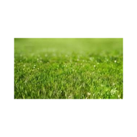 Lawnsward | Swards with Types and Names