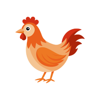 Leghorn | Chickens with Names and Types
