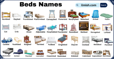 List of Beds with Names and Types in English with Pictures