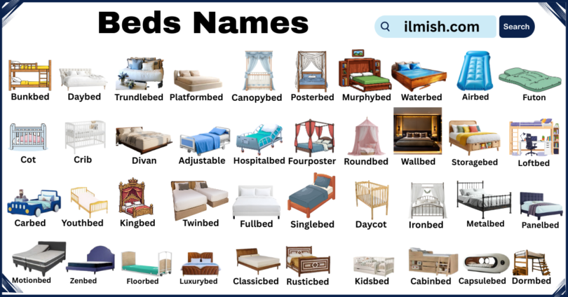 List of Beds with Names and Types in English with Pictures