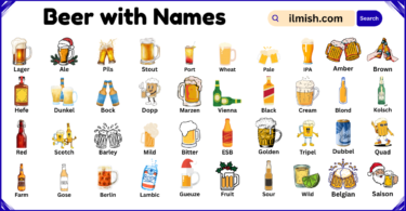 List of Beer with Names and Types in English with Pictures