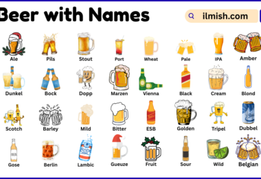 List of Beer with Names and Types in English with Pictures