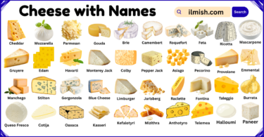 List of Cheese with Names and Types in English with Pictures