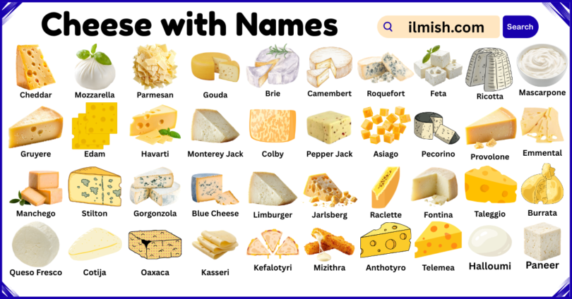 List of Cheese with Names and Types in English with Pictures