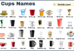 List of Cups with Names and Types in English with Pictures