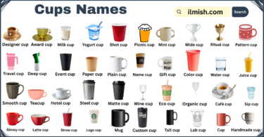List of Cups with Names and Types in English with Pictures