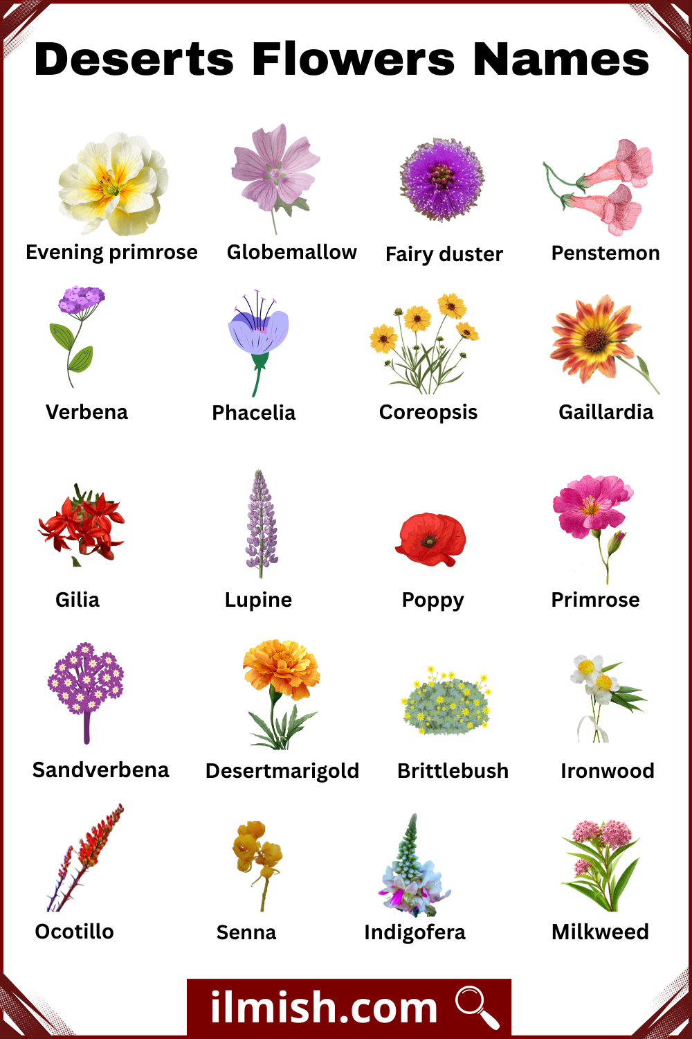 List of Deserts Flowers Names with Pictures