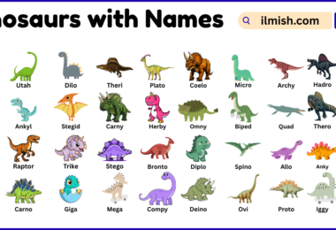 List of Dinosaurs with Names and Types in English with Pictures
