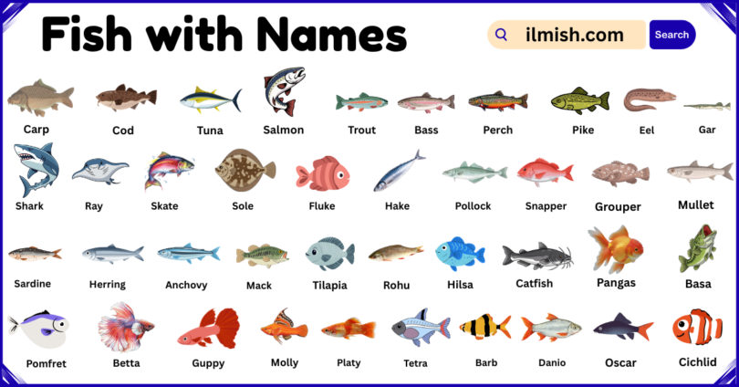 List of Fish with Names and Types in English with Pictures