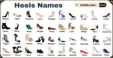 List of Heels with Names and Types in English with Pictures
