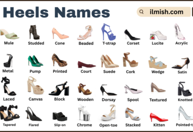 List of Heels with Names and Types in English with Pictures