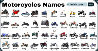 List of Motorcycles with Names and Types in English with Pictures