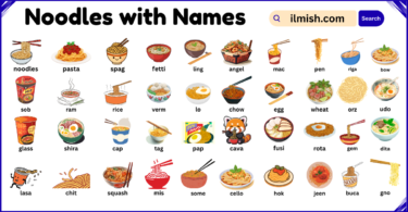 List of Noodles with Names and Types in English with Pictures