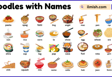 List of Noodles with Names and Types in English with Pictures