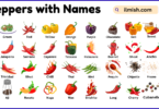 List of Peppers with Names and Types in English with Pictures
