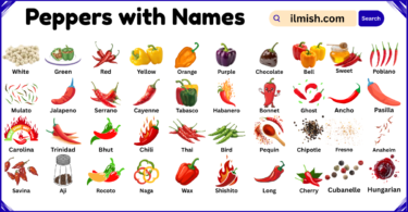 List of Peppers with Names and Types in English with Pictures