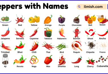 List of Peppers with Names and Types in English with Pictures