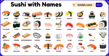 List of Sushi with Names and Types in English with Pictures