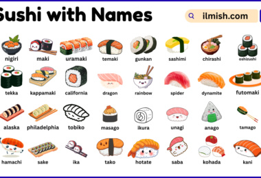 List of Sushi with Names and Types in English with Pictures