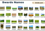 List of Swards with Types and Names in English with Pictures