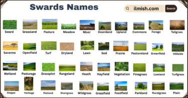 List of Swards with Types and Names in English with Pictures