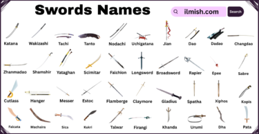 List of Swords with Names and Types in English with Pictures