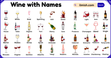 List of Wine with Names and Types in English with Pictures