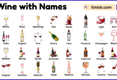 List of Wine with Names and Types in English with Pictures