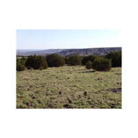 Livestockland | Swards with Types and Names